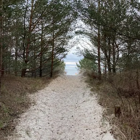 Apartment Zur Alten Tischlerei *